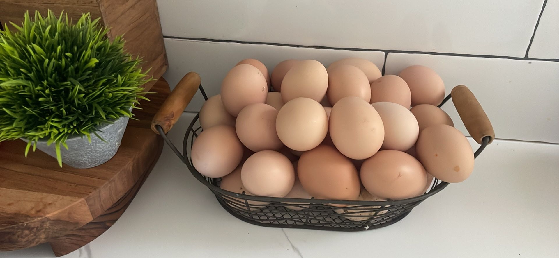 Eggs 