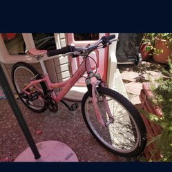 Pink And Orange Trek Bike Mt 220 Girls Bike 