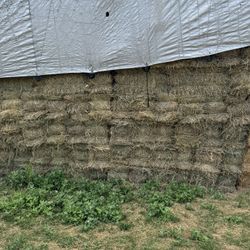 Wire Tied 3’x2’  Grass Hay 