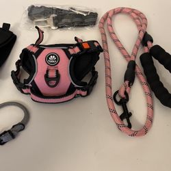 Small Dog Walking Combo Pack!- Pink