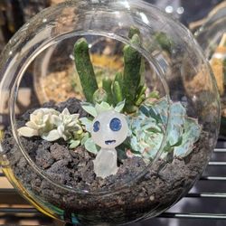 Succulent Terrarium 