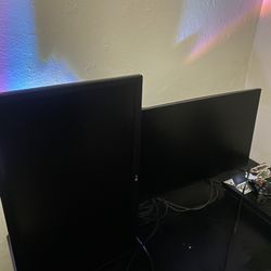 Dual Monitors And Mount 
