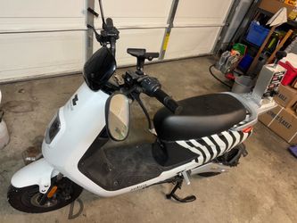 Zebra Scooter