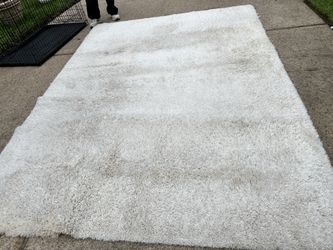 Large rug