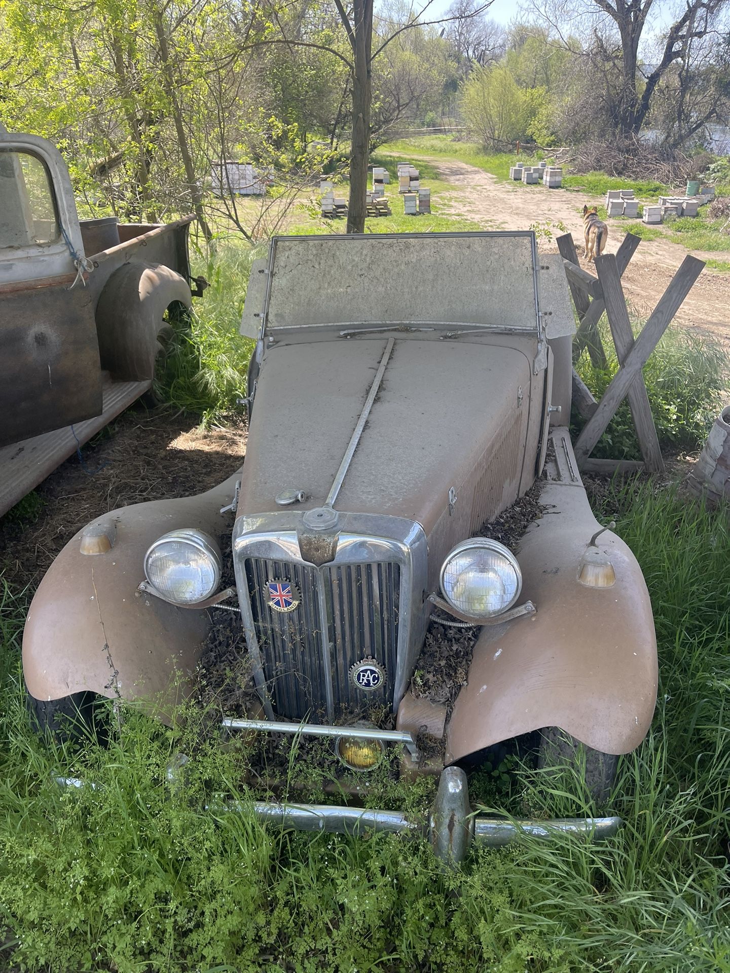 MG TD Replica