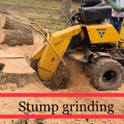 Stump Grinding 