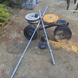 Weights, Bars And Squat Rack