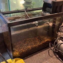 Small Fish Tank