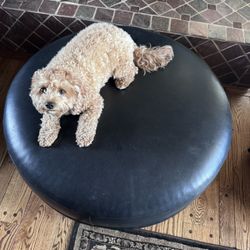 Kaplan & Fox Leather Round Ottoman / Floor Cushion – 36”