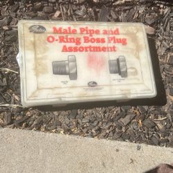 male pipe plug assortment 