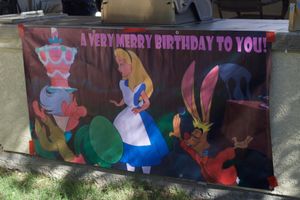 New And Used Party Decorations For Sale In Buckeye Az Offerup
