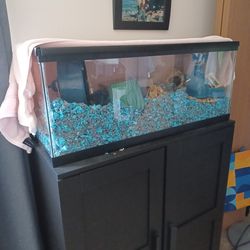 Hamster set up