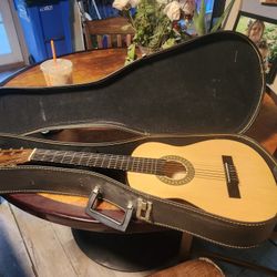 Acoustic Guitar
