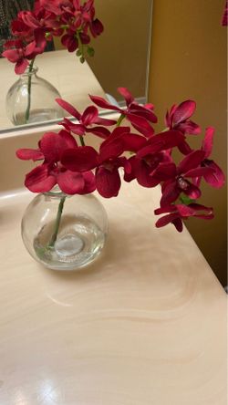Red orchid flower pot