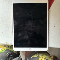 iPad Air Gen3
