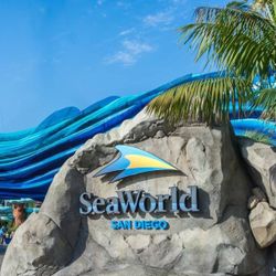 4 Sea world Day Tickets 