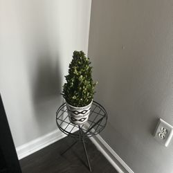 Plant Stand