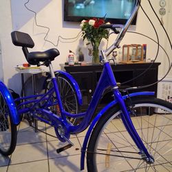 Schwinn Meridian Adult Tricycle.