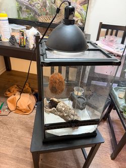 Crested gecko enclosure