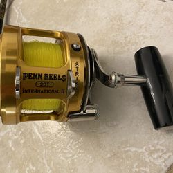 YES ITS AVAILABLE Penn Reel Star Rod