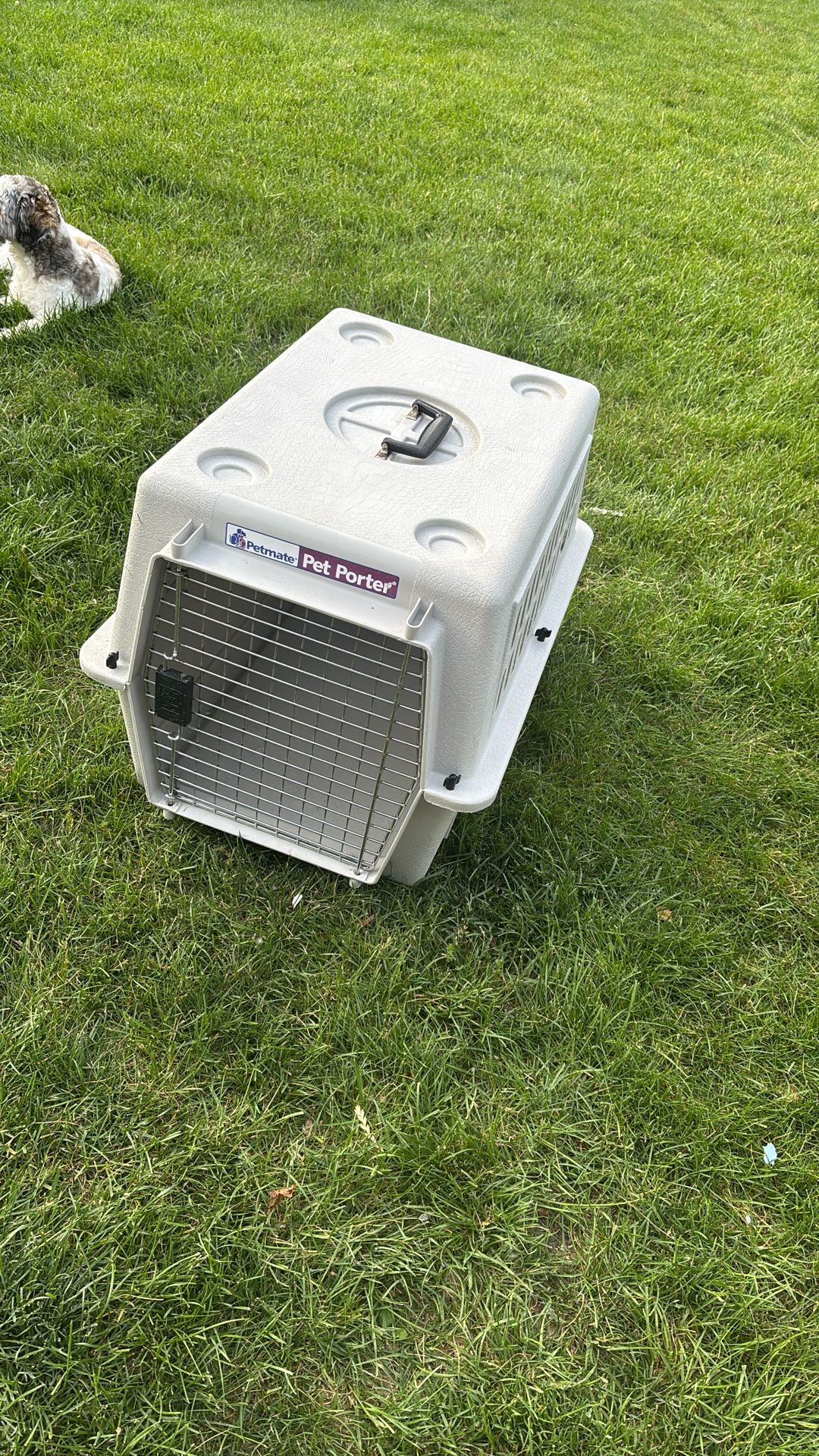Pet Porter For Medium Size Dog