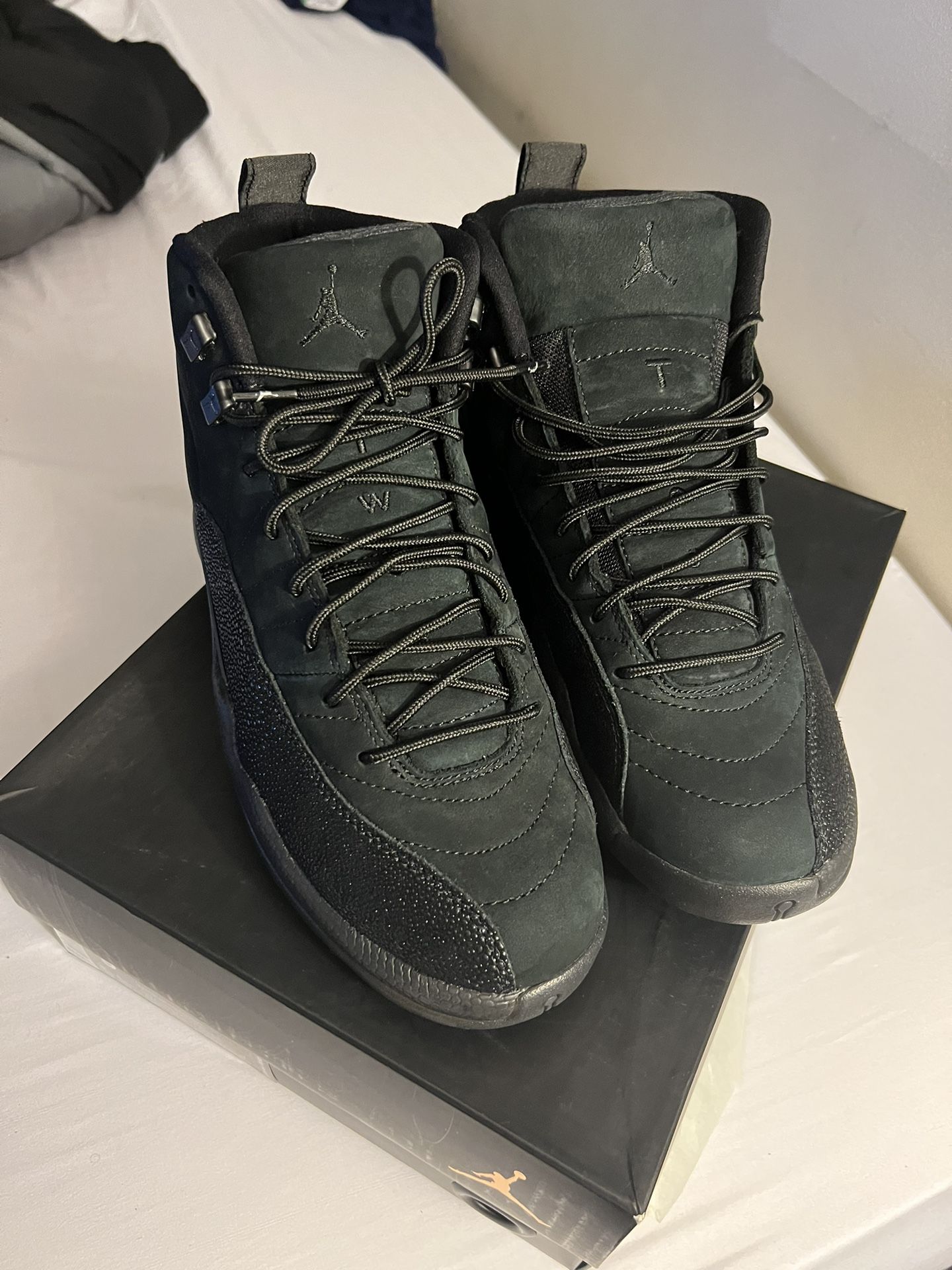 OVO jordan 12 retro black