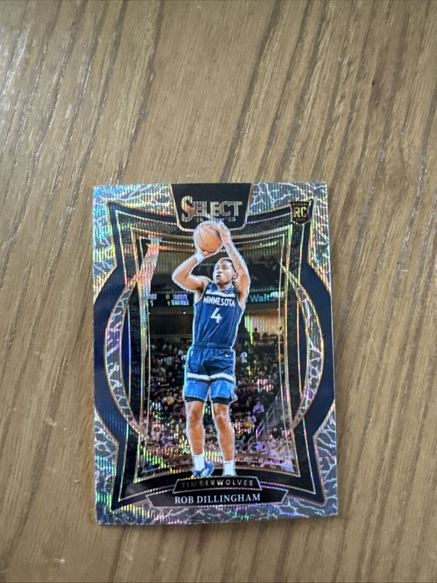 CASE HIT Panini Select Elephant Print Rob Dillingham Rookie Card