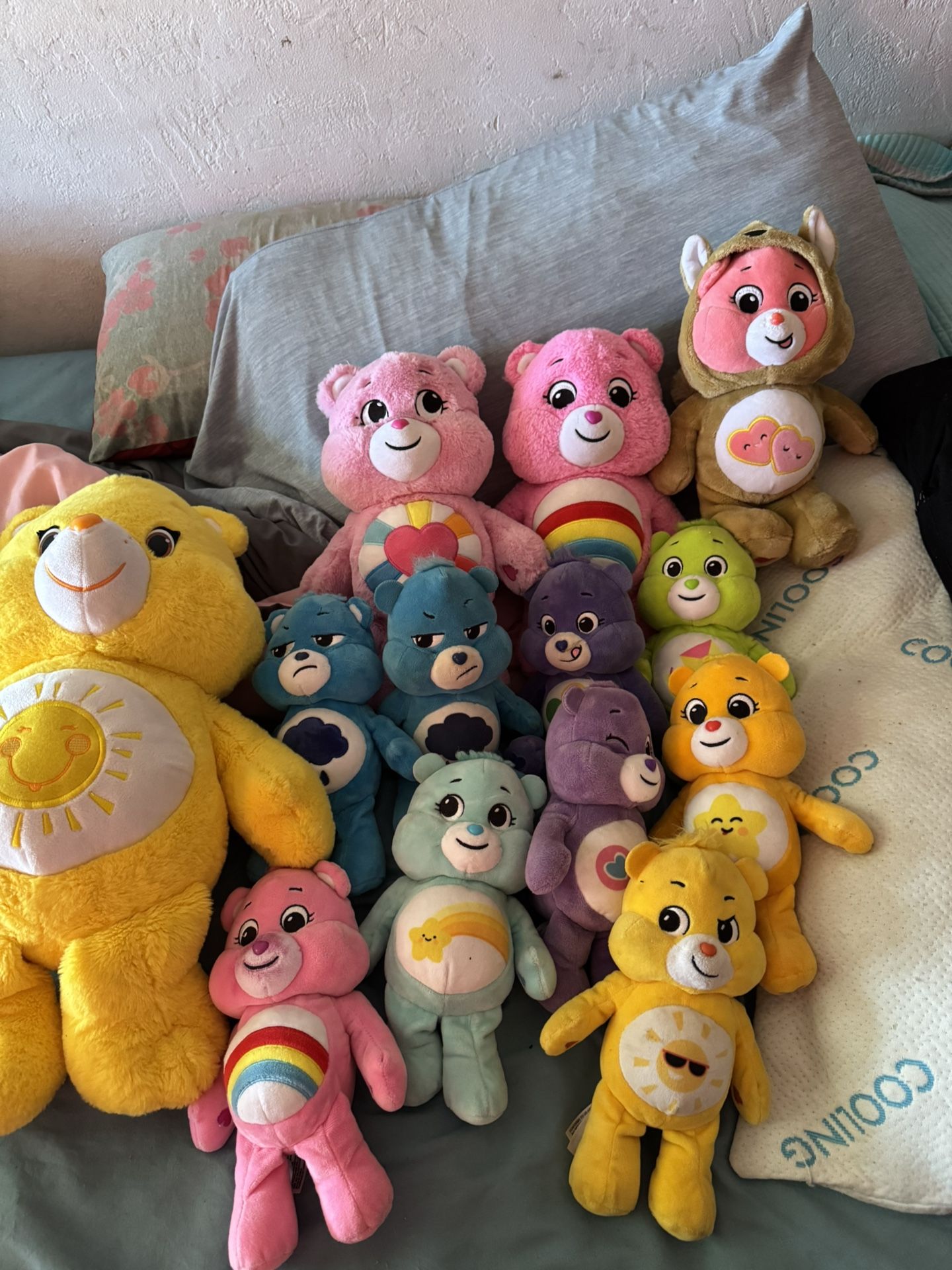 Carebear Plushies Lot