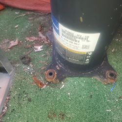 Compressor 