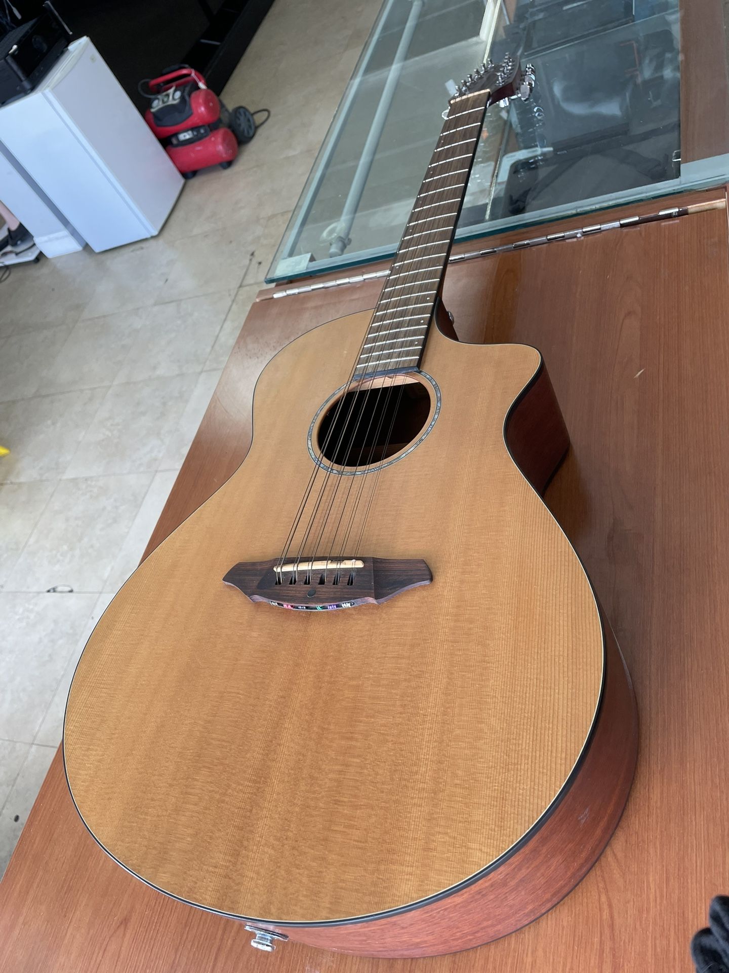 Breedlove AC250 Acoustic Electric Guitar