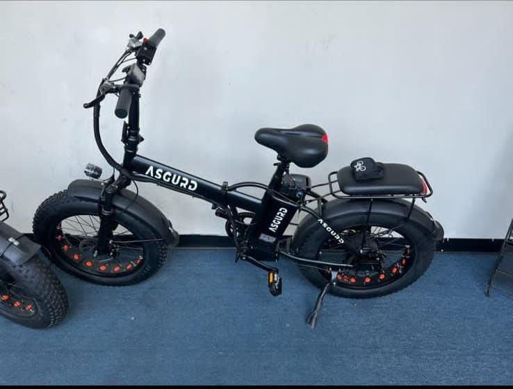 Brand New Electric Folding Bike