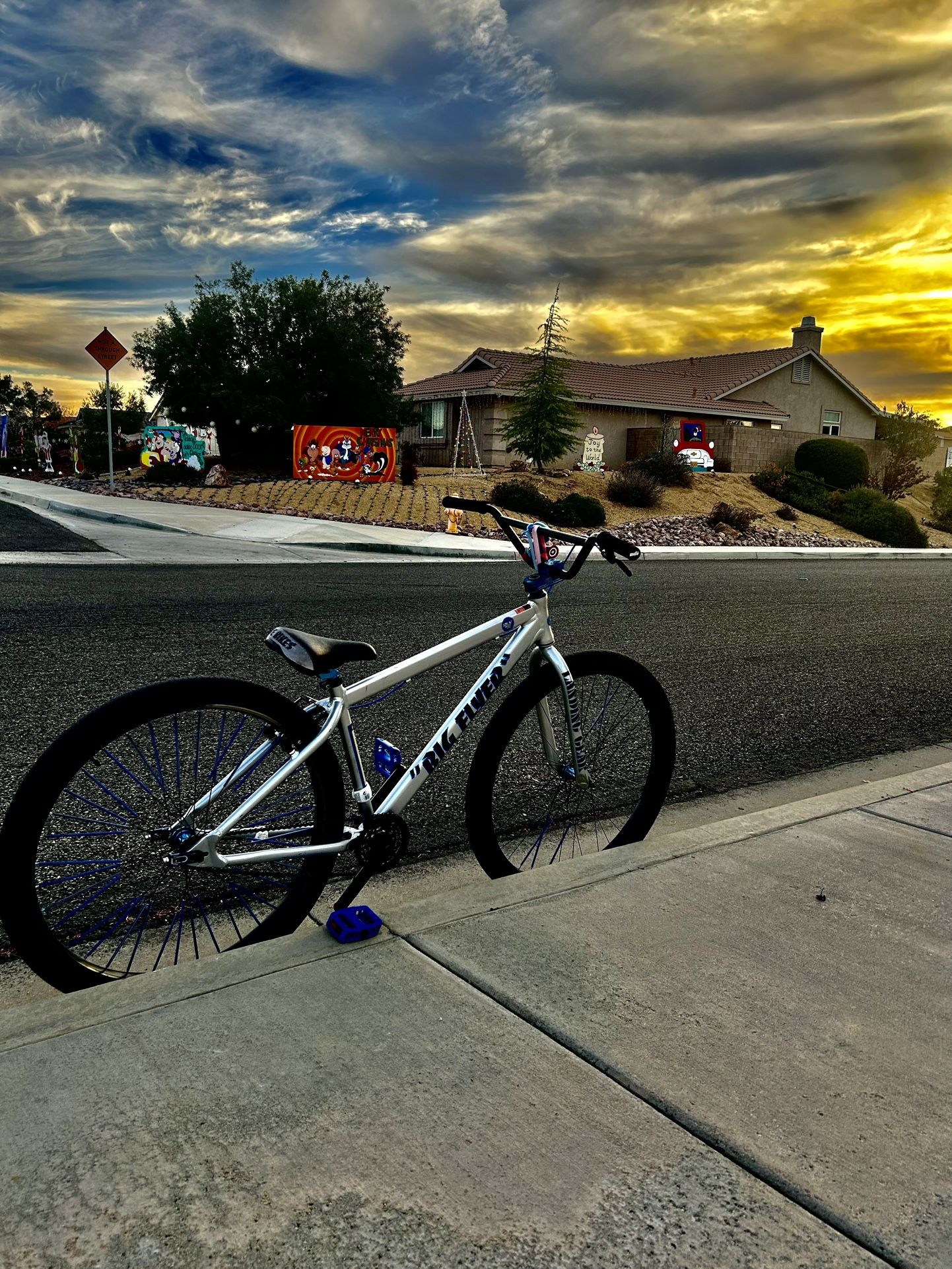 Big Flyer 29 SE BIKE