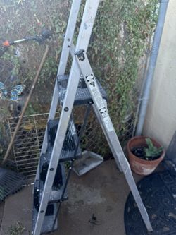 5 Foot Ladder 