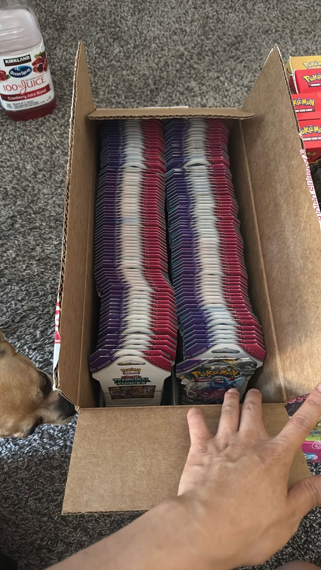 Pokemon Temporal Force Booster