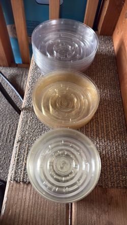 Clear Plant Saucers
