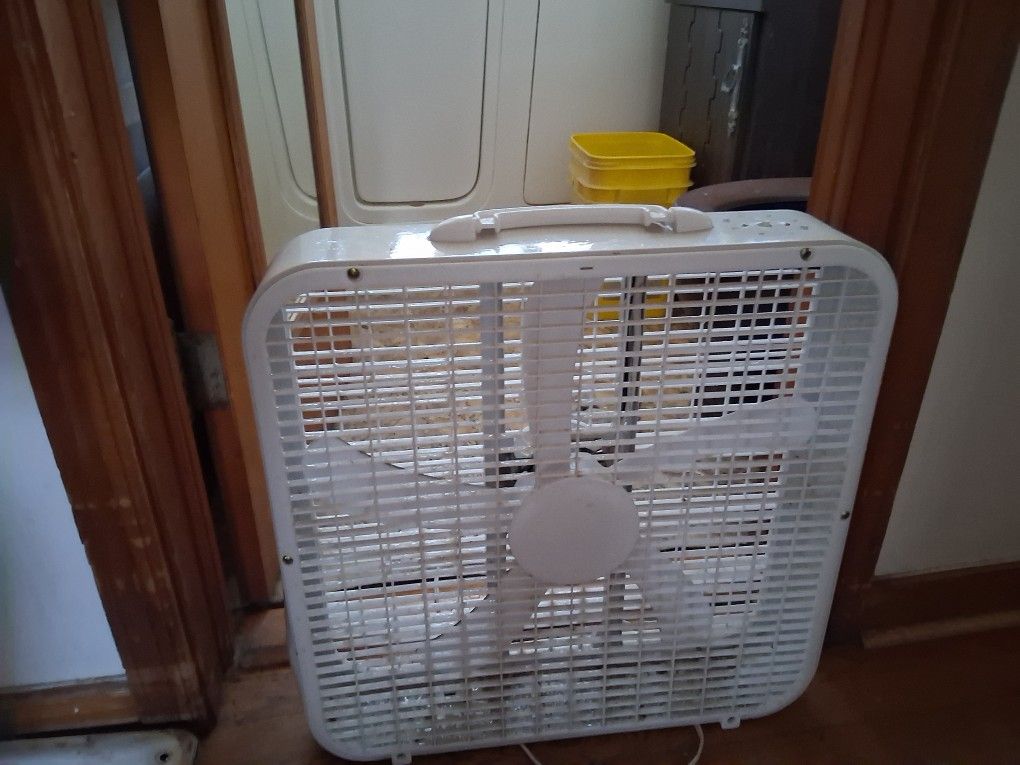 Fan