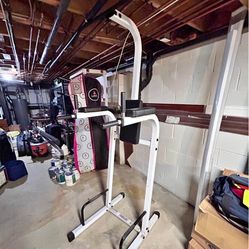 Power station pull up bar and dip rack