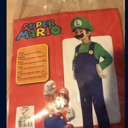Mario & Luigi Halloween Costume 
