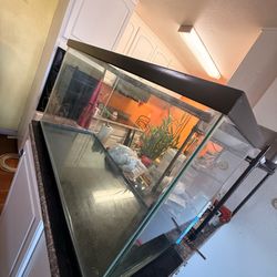 Fish tank 55-75 gallons