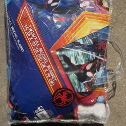 Spiderman (Miles Morales)