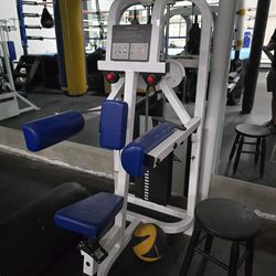 Life Fitness Lateral Raise Commercial Gym Equipment Exercise Workout Weight Machine