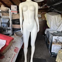 Full-Body Mannequins/Manikin/Dummy/Doll