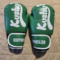 Punching Gloves 