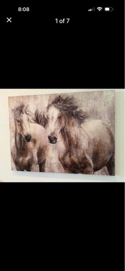 Equine/Horse themed wall canvases