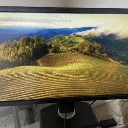 24 Inch Dell Monitor 
