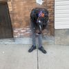 khyseem hall
