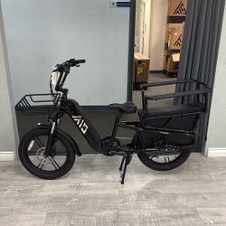 TST E-Bike Cargo carrier