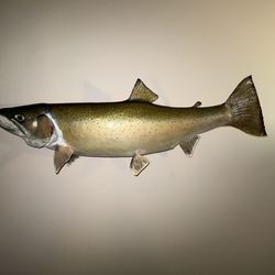 Steelhead rainbow trout 13 lbs 12 OZ mount w/plaque caught at lower Horseshoe Bend Betsy River Mi 4/6/83  Real skin Chinook salmon
