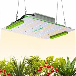 plant light