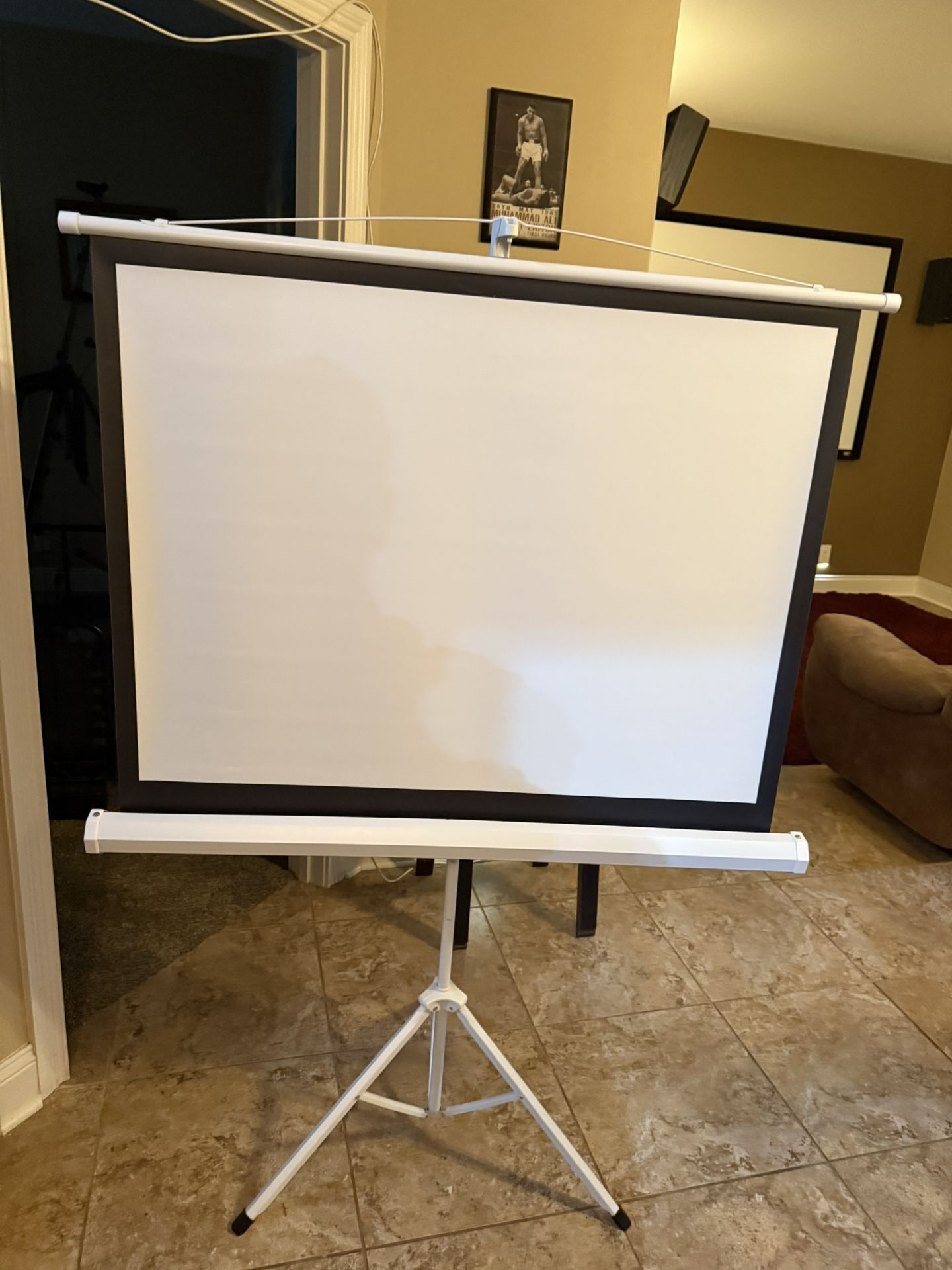 Projector Screen